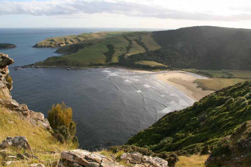 Nieuw-Zeeland 2011 - 1852